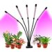 Vollspektrum LED Wuesslampe DC 5V USB Phytolampe Desktop Planzewuesslampe Fir Indoor Blummen VEG Keimling Sukkulenten_voghion.com