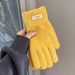 Solid Color Knitted Wool Gloves Winter Unisex Couple Style Thickened Warm Cold-Proof Student Outdoor Cycling Touchscreen_voghion.com