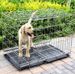 Direct Pet Dog Cat Foldable Portable Chicken Rabbit Angle Steel Folding Cage_voghion.com
