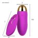 LuvBox Wireless Wearable Variable Frequency Dancing Elf Rechargeable Vibrator Couple Flirting Adult Toy Wholesale_voghion.com