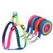 Cat And Nylon Colorful Harness Dog Pet Leash_voghion.com
