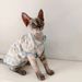 Hot Sale Summer Japanese And Korean INS Hairless Cat German Ragdoll Same Style Pet Clothes_voghion.com