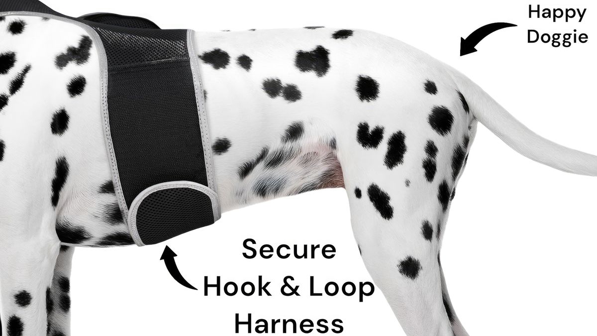 NEW Cat Collar Tracker Waterproof Pet GPS GSM Tracking Device Portable Size:XS_voghion.com