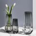 Premium Modern Glass Vase - Transparent Design For Roses/Lilies & Lucky Bamboo Display
_voghion.com