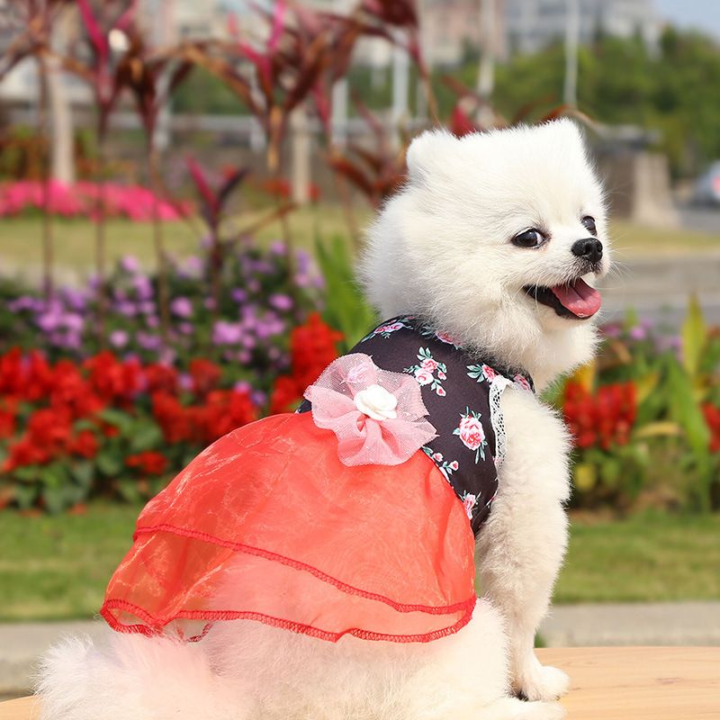 Spring Summer Dog, Cat, Fragmented Flower Princess Hanfu Style Pet Supplies, Small and Medium sized Dog Wedding Dress,_voghion.com