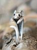 2025 New Arrivals Cute mouse shaped ring, silver adjustable ring cuffs, perfect gift girls, suitable for daily wear, special female_voghion.com