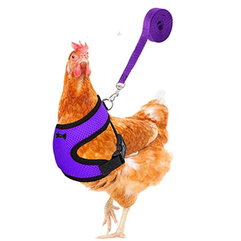 Breathable Adjustable Chicken Harness With Leash - Perfect For Ducks, Geese, And Other Poultry Pets_voghion.com