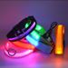Collare per cani con luce a LED in rete di nylon ricaricabile tramite USB_voghion.com