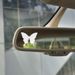 adesivi per auto farfalla adesivi per auto personalizzati adesivi decorativi per specchietto retrovisore_voghion.com