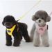 Neues Geschirr im Weste-Stil für kleine Hunde_voghion.com