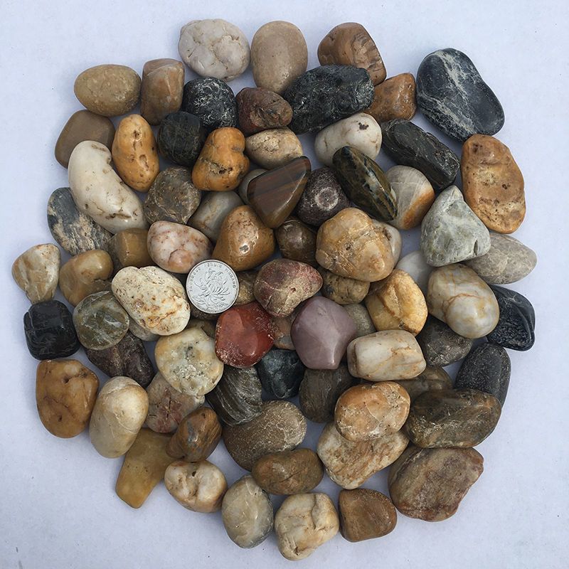 【 Over 8000 Returning Customers 】 50 Pound Cobblestone Paving, Courtyard Garden Landscaping, Natural Size Rain Flower_voghion.com