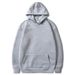 Casual Hooded Sweatshirt, Autumn Loose And Plush Sweatshirt_voghion.com