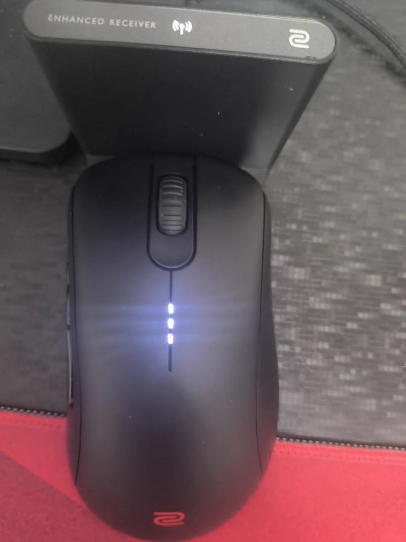 In Stock Zowie Zhuowei Wireless E-Sports CSGO Gaming Mouse Ergonomic EC1 2 3-cw Series_voghion.com