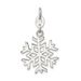 Sterling Silver Polished Snowflake Charm_voghion.com