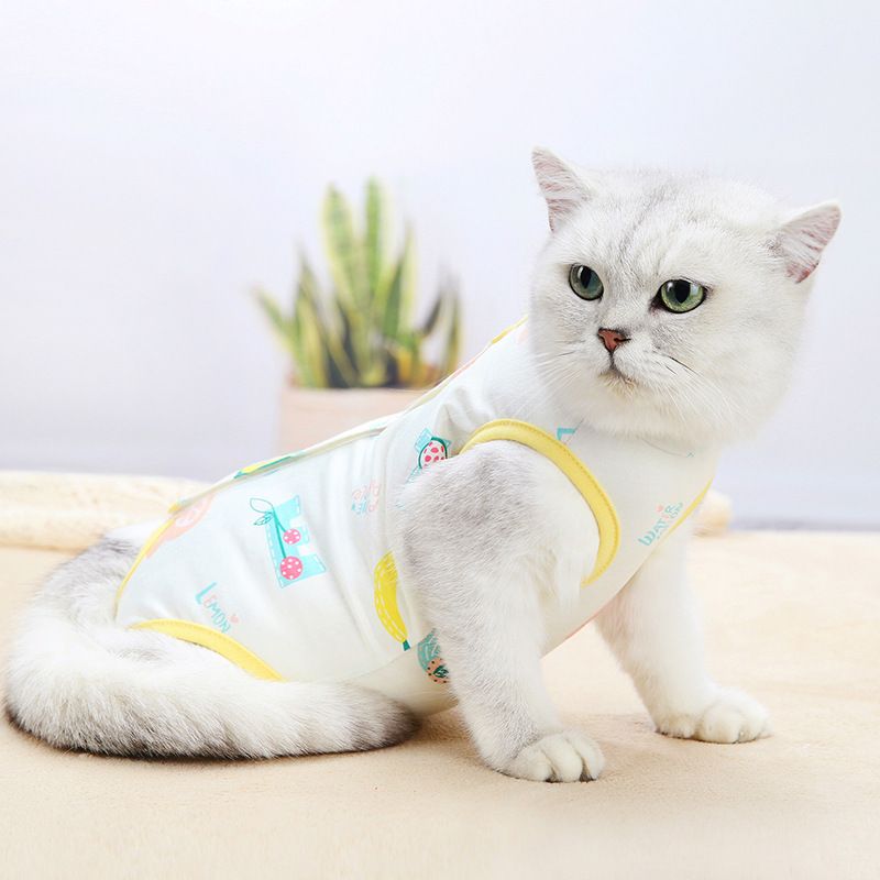 Female Neutering Surgery Weaning Clothes Soft Thin Four-Legged Cat Anti-Lick Warm_voghion.com