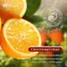 Full English FAYANKOU Orange Moisturizing Autumn Winter Anti Dry And Cracking Hand Cream_voghion.com