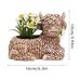 Pastoral Charm Cow Resin Planter - Balcony Succulent Pot & Personalized Grassland Decor
ACZT_voghion.com