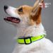 2024 New Cross-Border Customizable LOGO Reflective Colorful Crystal Grid Pet Dog Collar_voghion.com
