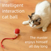 Toy Dog Walking Ball Pet Puppy Self-Entertainment Durable Chewable Electric Smart Automatic Cat Teaser_voghion.com