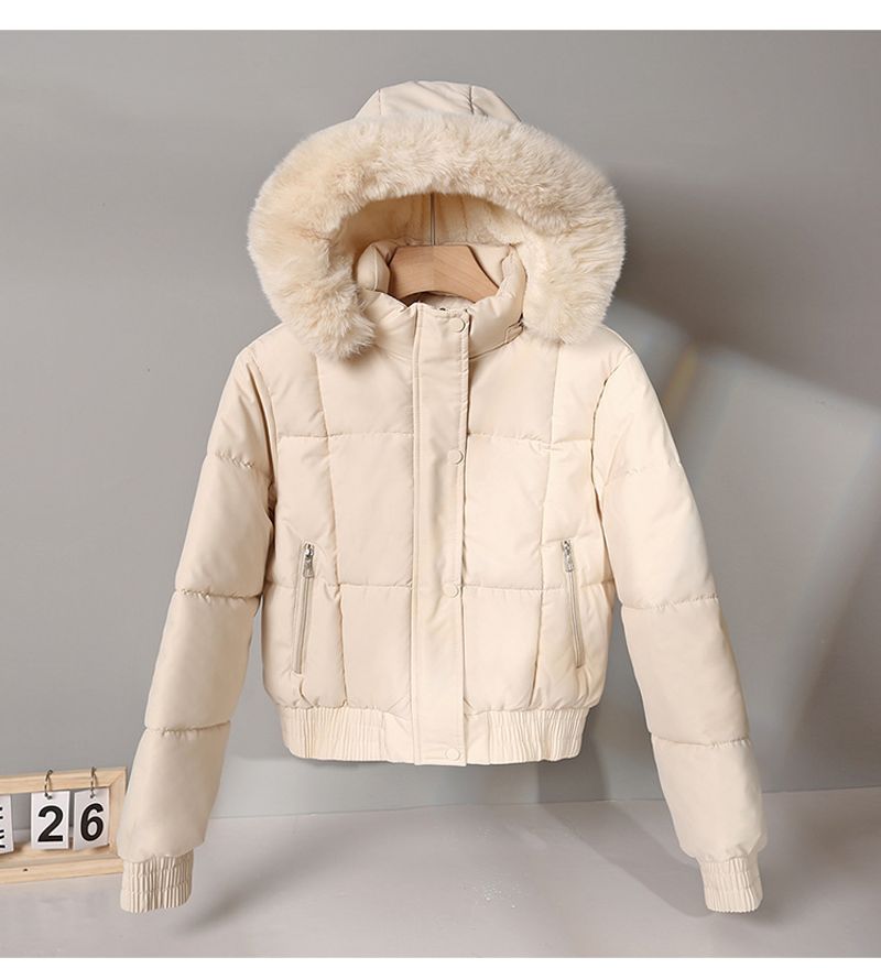 Îmbrăcăminte pentru femei Jachetă din bumbac pentru femei parka scurtă iarnă plus jachetă din bumbac îngroșată de catifea pentru student, haină plată cu guler de blană_voghion.com