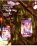 Luci solari in barattolo di vetro - Lanterne da appendere all'esterno impermeabili per decorare giardino, patio e cortile (LED bianco caldo, accensione/spegnimento automatico, grado di protezione IP55, certificazione CE)_voghion.com