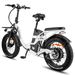 Fafrees F20 X-Max Electric Bike 20*4.0 Inch Fat Tire 750W Brushless Motor 48V 30AH Battery_voghion.com
