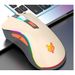 Xuan Silver Fox H1 Wired Three-Color Luminous Gaming Office Mouse 6D Buttons 4 DPI Levels Universal USB_voghion.com