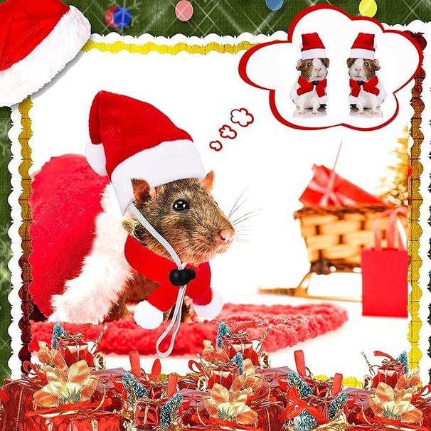 Cappello da pollo Costume da piccolo animale Criceto Porcellino d'India Coniglio Forniture natalizie_voghion.com