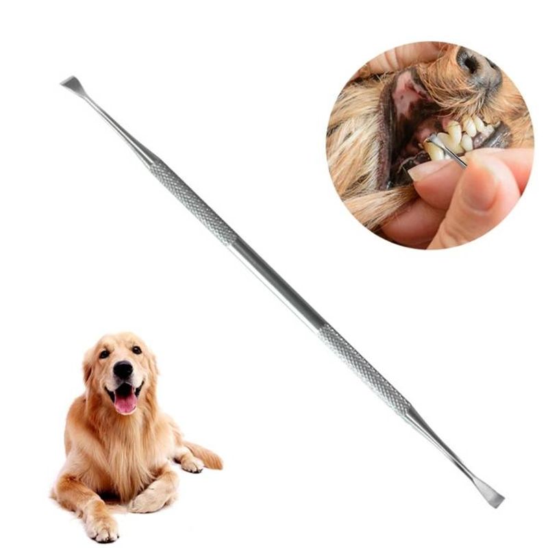 Zahnreinigungswerkzeug für Hunde mit Entkalkungsspitze und Schaber_voghion.com