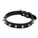Row Of Rivets Dog Super Cool Bite-Resistant Collar Pet Supplies_voghion.com