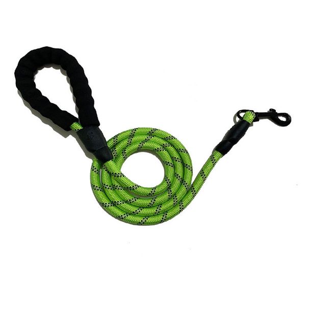 Corda per camminare con il cane, guinzaglio elastico luminoso in nylon, articoli per animali domestici_voghion.com
