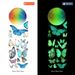 Colorful butterfly flying towards four-color AFG3532 gradient color moon glow in the dark wall sticker_voghion.com