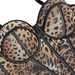 Women's Clothing Sexy Leopard Dot Pattern Splicing Bra Suspenders High End Inner Mesh Lace See Through Outer Wear Herringbone Bra_voghion.com