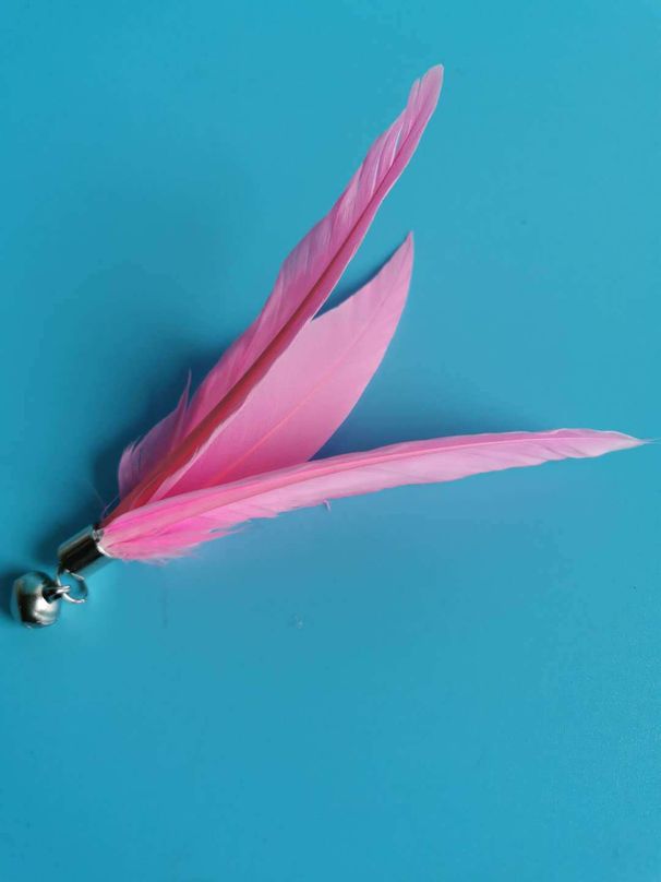 Teaser Wand Pet Cat Toy Bell Feather Replacement Head Best Seller_voghion.com