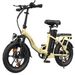 ESKUTE D100 Folding Electric Bike 16Inch With Detachable 36V 13Ah Battery_voghion.com