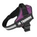 Explosion-Proof Pet Harness Large Dog Leash Vest-Style Reflective Chest Strap_voghion.com