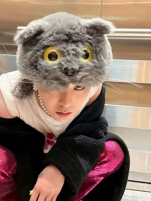 Quan Zhilong Concert Same Style Plush Ear Soft Cute Little Cat Animal Cartoon Hat_voghion.com