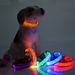 KAJIPET Leopard LED Dog Collar By PawParty Store_voghion.com