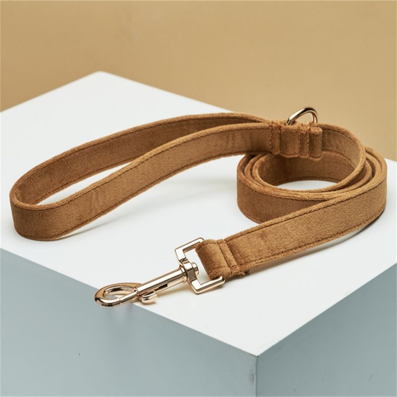 Laisse d'extérieur en nylon haute densité pour chien_voghion.com