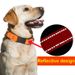 Pet Reflective Collar Waterproof Cloth Black Buckle With 1.8m Leash_voghion.com