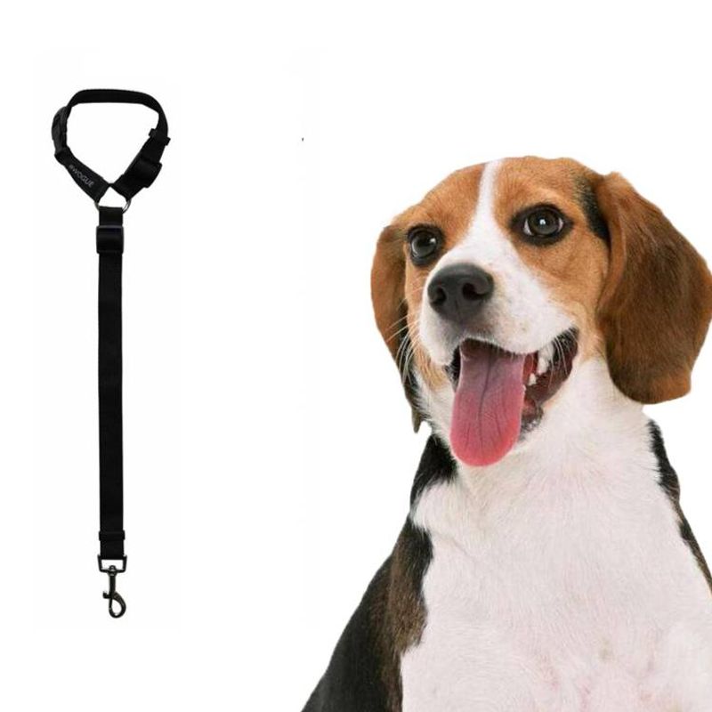 Pet Car Safety Rope Ring Dog Car Seat Belt Rear Seat Traction Rope_voghion.com