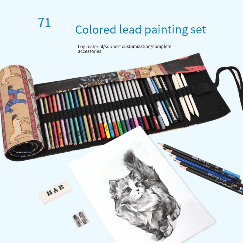 Set di matite colorate da 71 pezzi - Matite da disegno professionali a base di olio e acquerello per artisti, studenti e hobbisti - Colori vivaci per disegnare_voghion.com