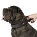 Beirui Leather Collar For Medium And Large Breed Dogs_voghion.com