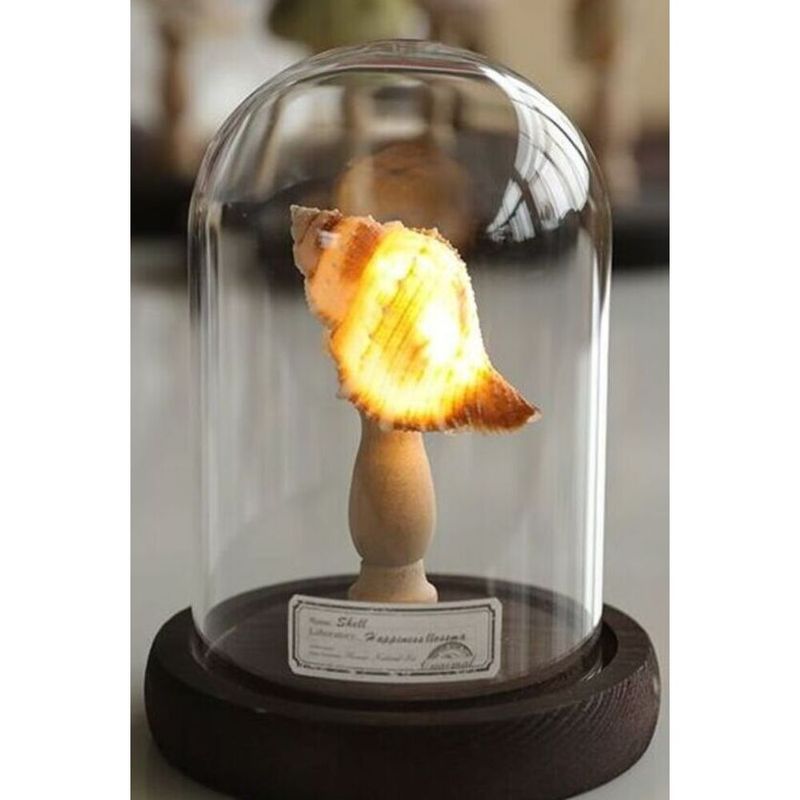 Lampada decorativa a forma di conchiglia, realizzata a mano, con riccio di mare, piccola luce notturna, regalo di laurea_voghion.com
