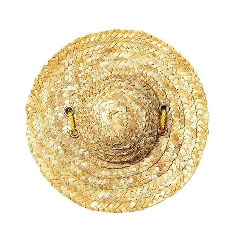 Mini-Strohhut für Haustiere, für Katzen und Hunde, Geburtstagsparty, Sonnenblende_voghion.com