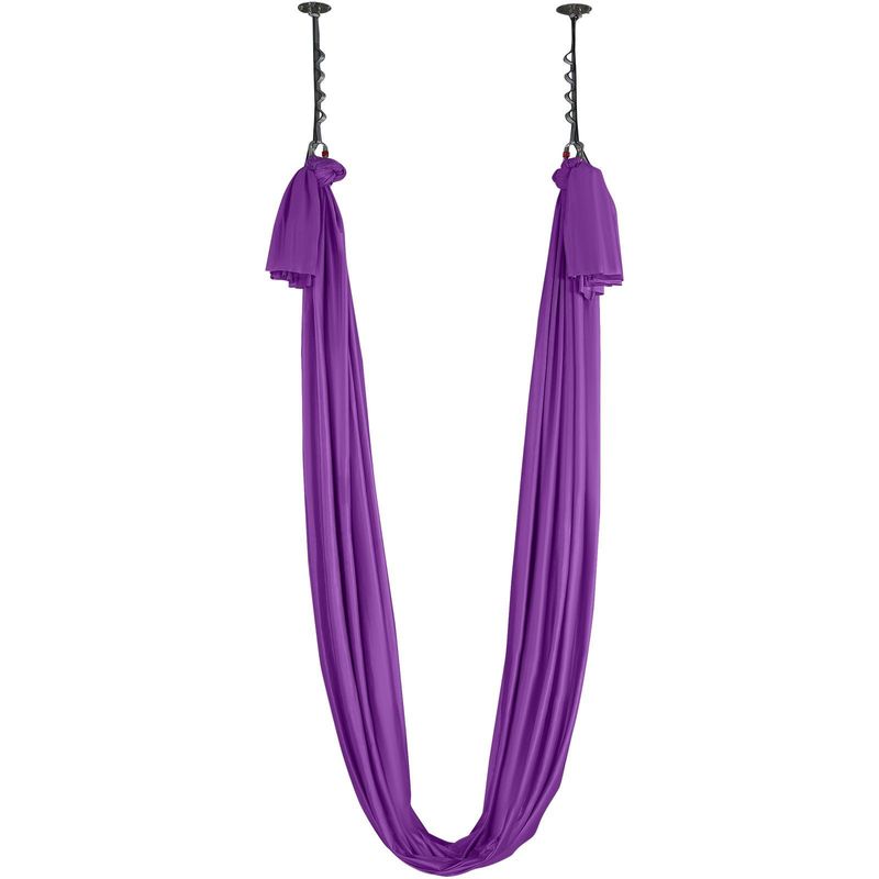 VEVOR Aerial Silk & Yoga Swing, 8.7 Yards, Aerial Yoga Hammock Kit With 100gsm Nylon Fabric, Full Rigging Hardware & Easy Set-up Guide, Antigravity Flying For All Levels Fitness Bodybuilding, Purple_voghion.com