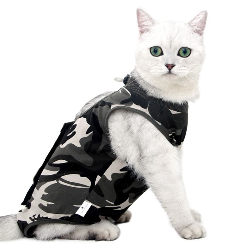 Professioneel herstelpak voor katten bij buikwonden of huidziekten. Draag een pyjamapak na een operatie._voghion.com