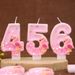 Creative Digital Birthday Cake Party Decoration Handmade Candle Flamingo Element_voghion.com