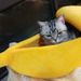 Supplies Creative Dog Banana Boat Shape Cat Winter Warm Cartoon Pet House_voghion.com