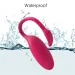 App With Flamingo, Bluetooth, Egg, Clitoral Stimulator, G-Point Massager, Vibrating Ball, Magic Vibrator Motion, Sex Toy_voghion.com